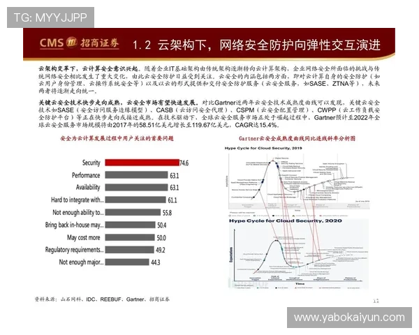 开云集团旗下奢侈品牌的价格策略与消费者购买指南详解