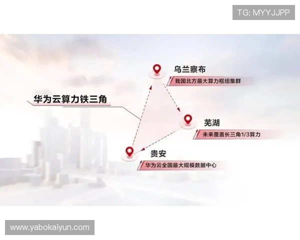 深入了解开云公司官网，探索其全球业务布局与战略