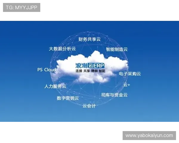 开云集团官方网站的历史沿革与未来发展战略全面介绍